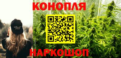 крисы Комсомольск-на-Амуре