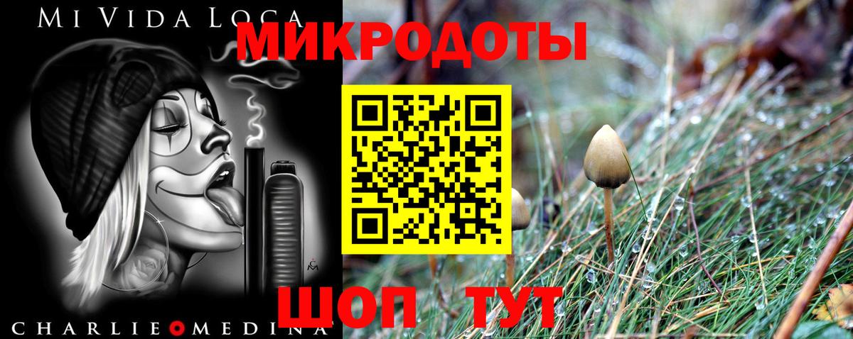 Галлюциногенные грибы прущие грибы Керчь