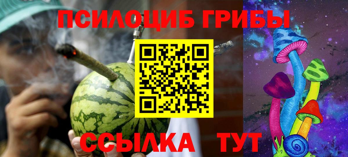 Псилоцибиновые грибы Psilocybe  Вход с VPN  Керчь 